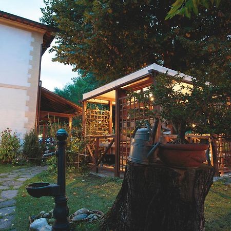 Hotel Giuly Torre del Lago Puccini Εξωτερικό φωτογραφία